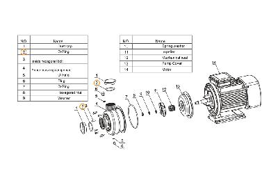 Прокладка-кольцо патрубка насоса DWK  Mayer Schwimmbad LX F02010051