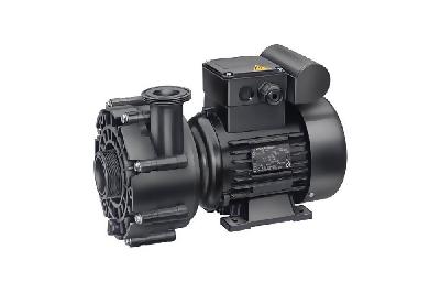 Насос (0,75кВт 220В) Badu 21-40/54 G Speck (234.0540.138)