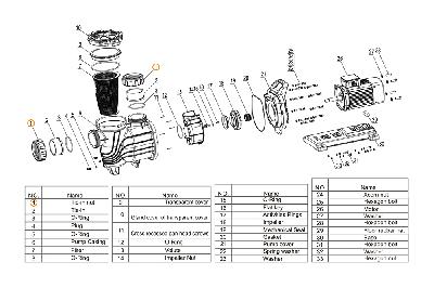 Гайка муфты d110 насоса  Mayer Schwimmbad LX A31020025