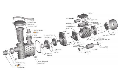 Прокладка-кольцо муфты d50 насоса HFC 03 (65х4,5) Happy Pump
