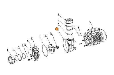 Крышка задняя насоса SLP400-1000T/WLP400-1000T Mayer Schwimmbad A02220161