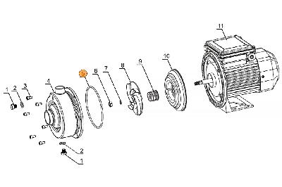 Прокладка-кольцо крышки задней насоса DWK  Mayer Schwimmbad LX F02030027
