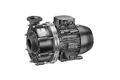 Насос (1,6кВт 220В) Badu 21-50/43 G Speck (235.0430.138)