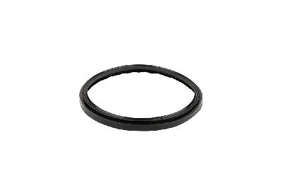 Прокладка-кольцо фланца бочки фильтра Emaux S-1000 -S1200  02011155 / 111292548/02100006