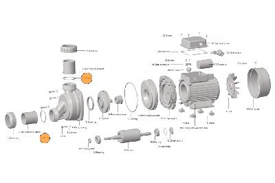 Прокладка-кольцо муфты d50 насоса HFC 02/HSPA (51х3,5) Happy Pump