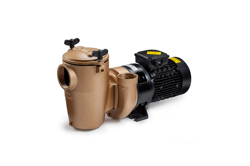 Насос бронзовый 2.2kw с префильтром  Pahlen 11221